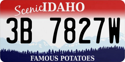 ID license plate 3B7827W