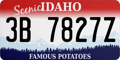 ID license plate 3B7827Z