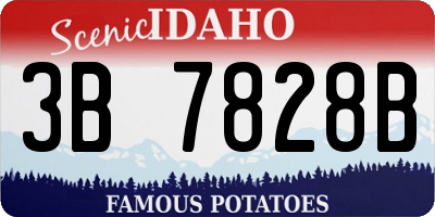 ID license plate 3B7828B