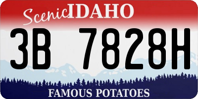 ID license plate 3B7828H