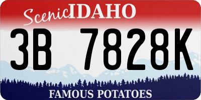 ID license plate 3B7828K