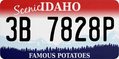 ID license plate 3B7828P