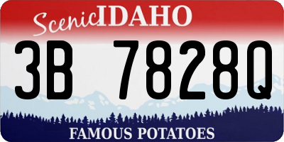 ID license plate 3B7828Q