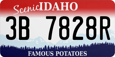 ID license plate 3B7828R