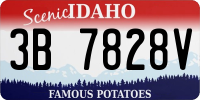 ID license plate 3B7828V