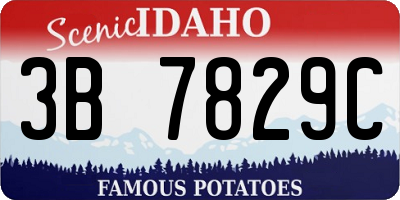 ID license plate 3B7829C