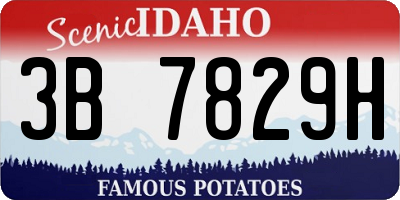 ID license plate 3B7829H
