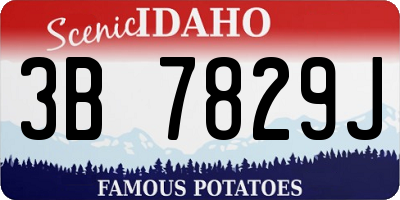 ID license plate 3B7829J