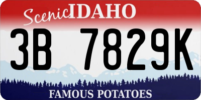 ID license plate 3B7829K