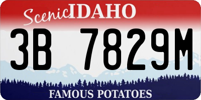 ID license plate 3B7829M