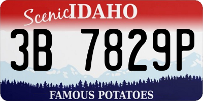 ID license plate 3B7829P