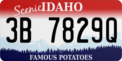 ID license plate 3B7829Q