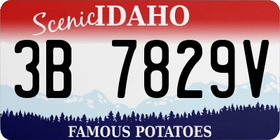 ID license plate 3B7829V