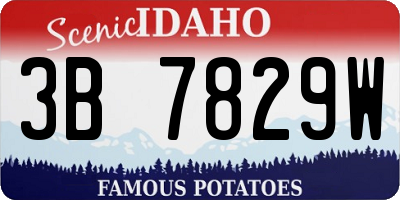 ID license plate 3B7829W