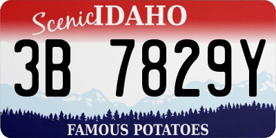 ID license plate 3B7829Y