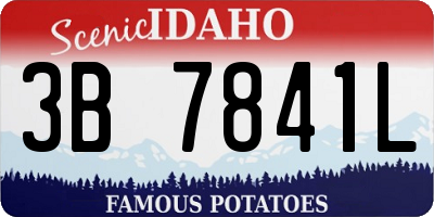 ID license plate 3B7841L