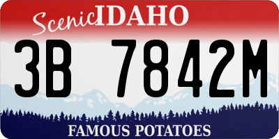 ID license plate 3B7842M