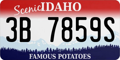 ID license plate 3B7859S