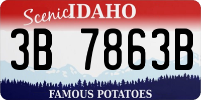 ID license plate 3B7863B