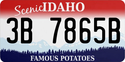 ID license plate 3B7865B