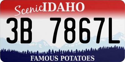 ID license plate 3B7867L