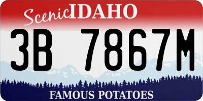 ID license plate 3B7867M