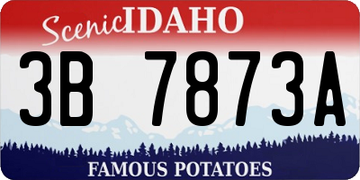 ID license plate 3B7873A