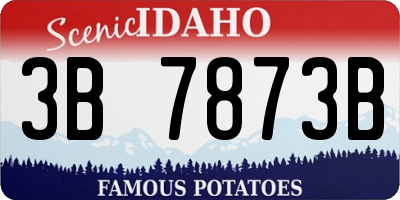 ID license plate 3B7873B
