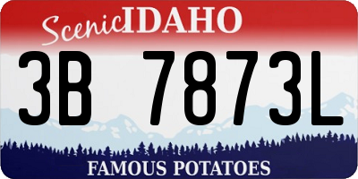 ID license plate 3B7873L