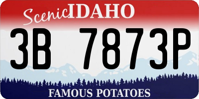 ID license plate 3B7873P