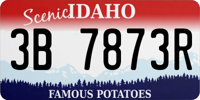 ID license plate 3B7873R