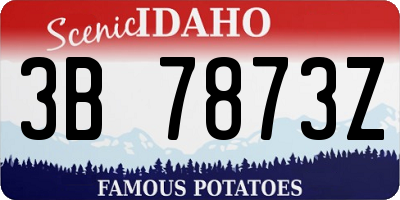 ID license plate 3B7873Z