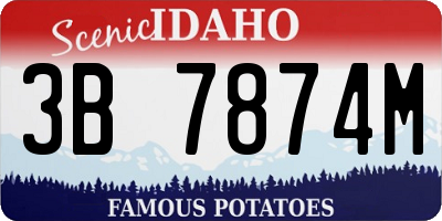 ID license plate 3B7874M