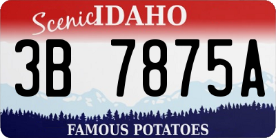 ID license plate 3B7875A