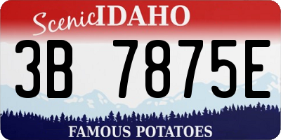 ID license plate 3B7875E