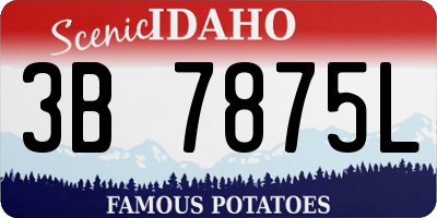 ID license plate 3B7875L
