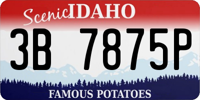ID license plate 3B7875P