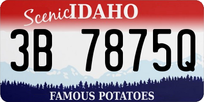 ID license plate 3B7875Q