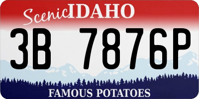 ID license plate 3B7876P