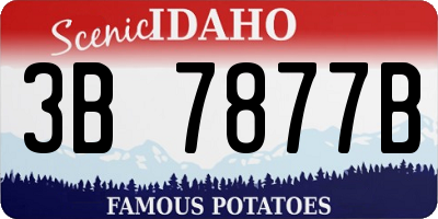 ID license plate 3B7877B
