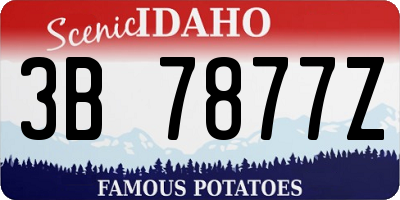 ID license plate 3B7877Z