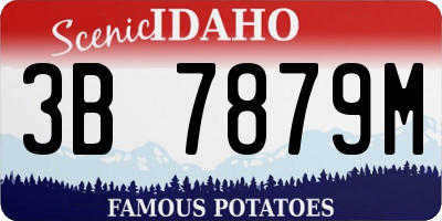 ID license plate 3B7879M