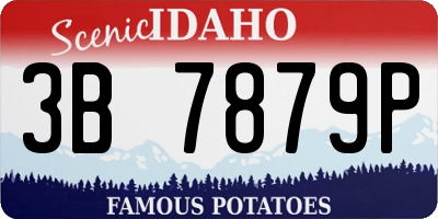 ID license plate 3B7879P