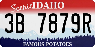 ID license plate 3B7879R