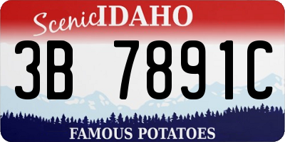 ID license plate 3B7891C