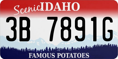 ID license plate 3B7891G