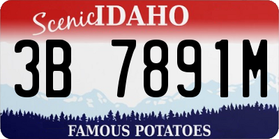 ID license plate 3B7891M