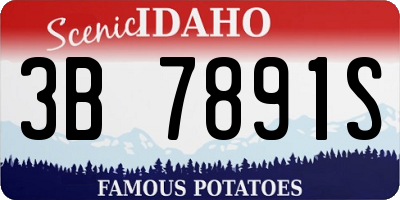ID license plate 3B7891S