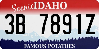 ID license plate 3B7891Z