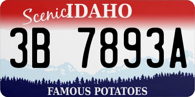 ID license plate 3B7893A